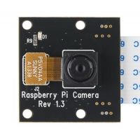 Camara para Raspberry Pi sin filtro IR